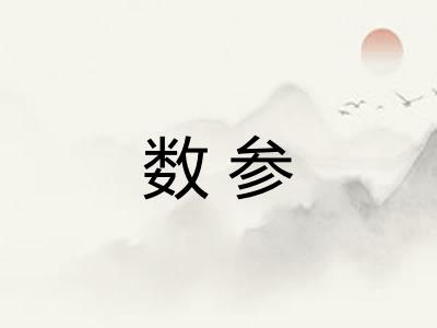 数参