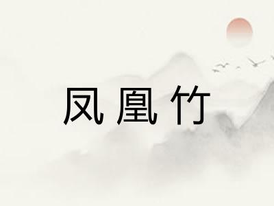 凤凰竹