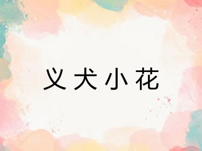 义犬小花