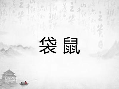 袋鼠