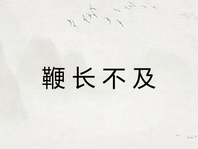 鞭长不及
