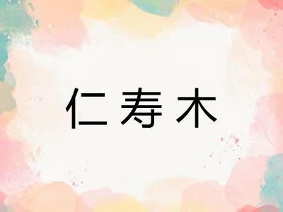 仁寿木