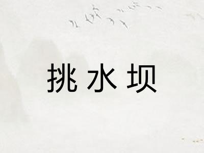 挑水坝