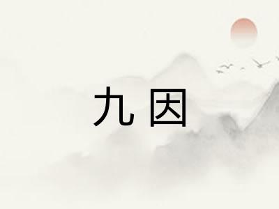 九因