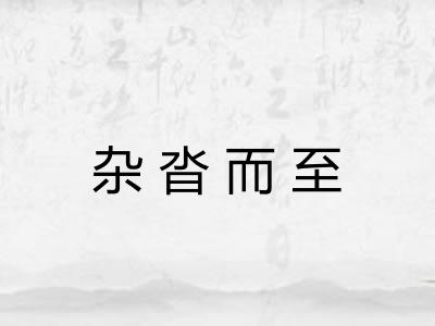 杂沓而至