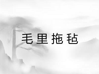 毛里拖毡