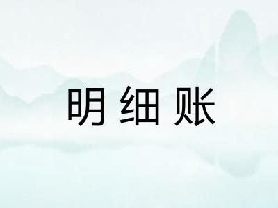 明细账