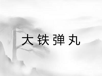 大铁弹丸