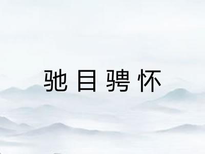 驰目骋怀