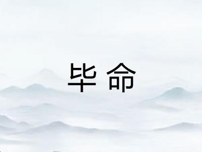 毕命