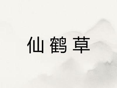 仙鹤草
