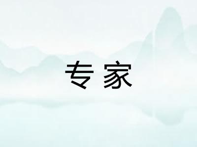 专家