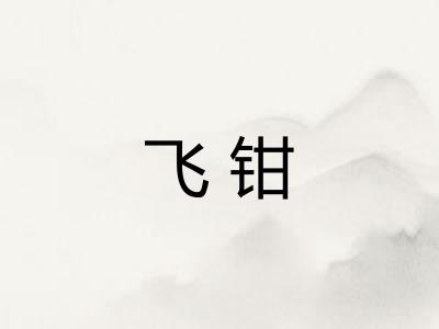 飞钳