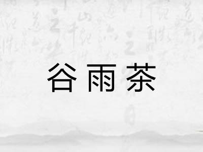 谷雨茶