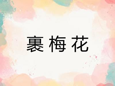 裹梅花