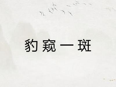 豹窥一斑
