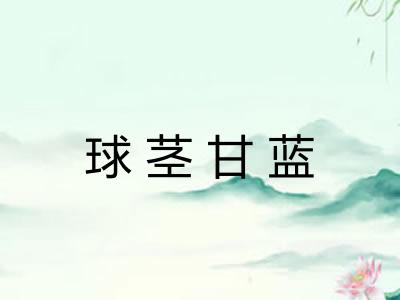 球茎甘蓝