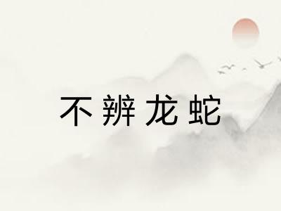不辨龙蛇