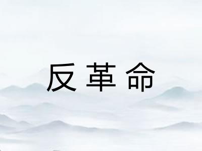 反革命