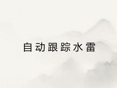 自动跟踪水雷