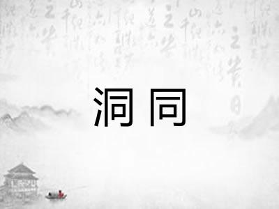 洞同