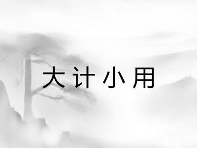 大计小用