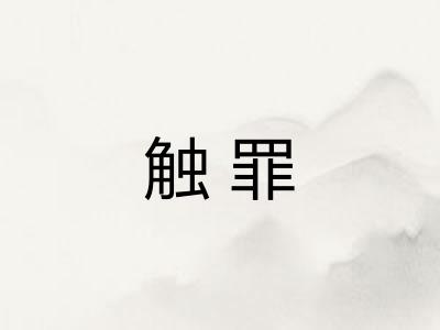 触罪
