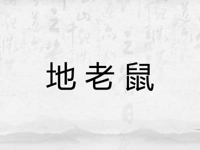 地老鼠