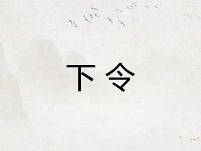 下令