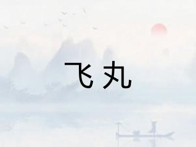飞丸