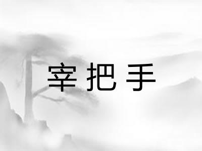 宰把手