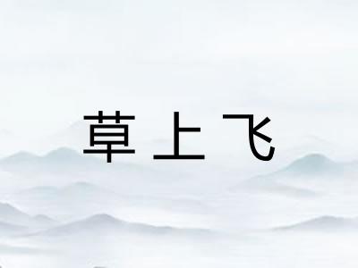 草上飞