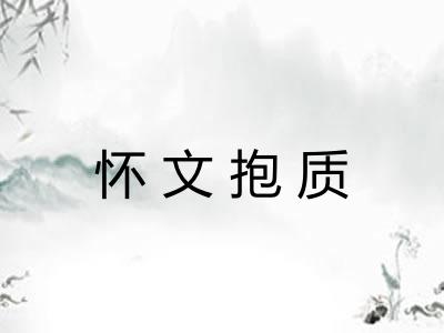 怀文抱质