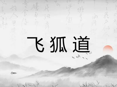飞狐道