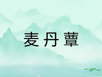 麦丹蕈
