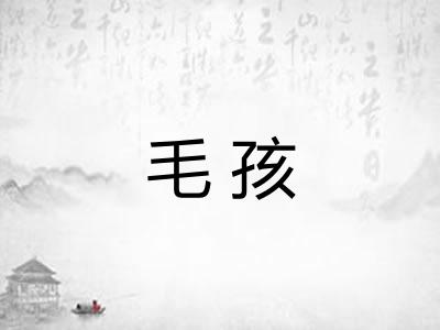 毛孩