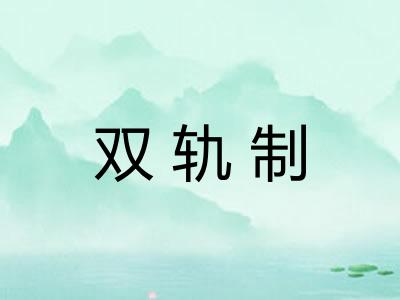 双轨制