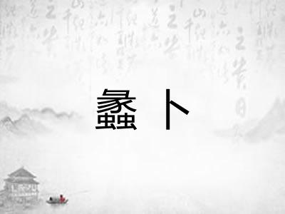 蠡卜