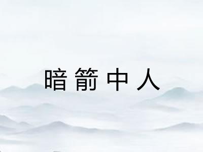 暗箭中人