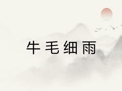 牛毛细雨