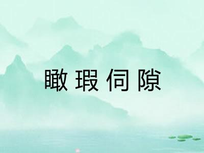 瞰瑕伺隙