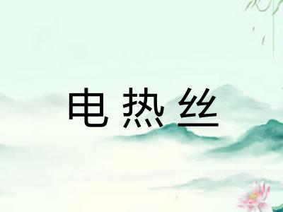 电热丝