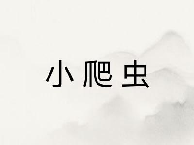 小爬虫