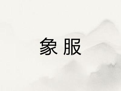 象服