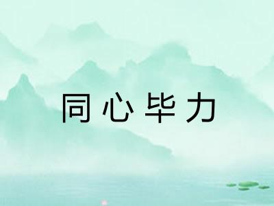 同心毕力