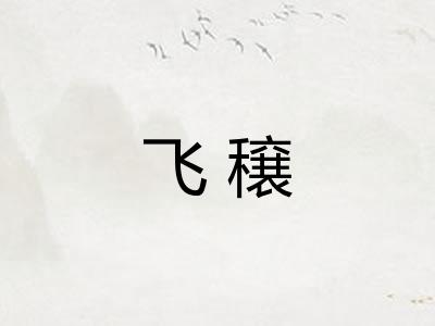 飞穣