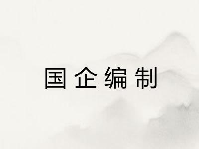 国企编制