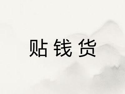 贴钱货