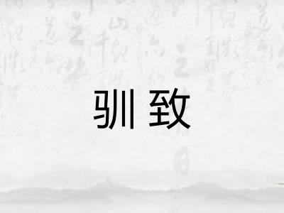 驯致