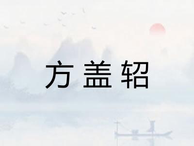方盖轺